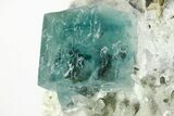 Colorful Cubic Fluorite Crystals with Phantoms - Yaogangxian Mine #215798-1